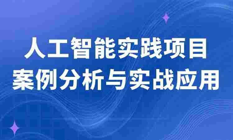 人工智能实践项目案例分析与实战应用