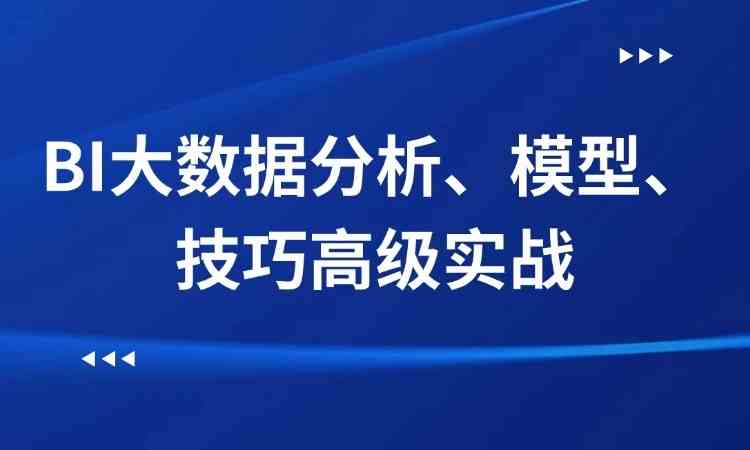 BI大数据分析、模型、技巧 高级实战