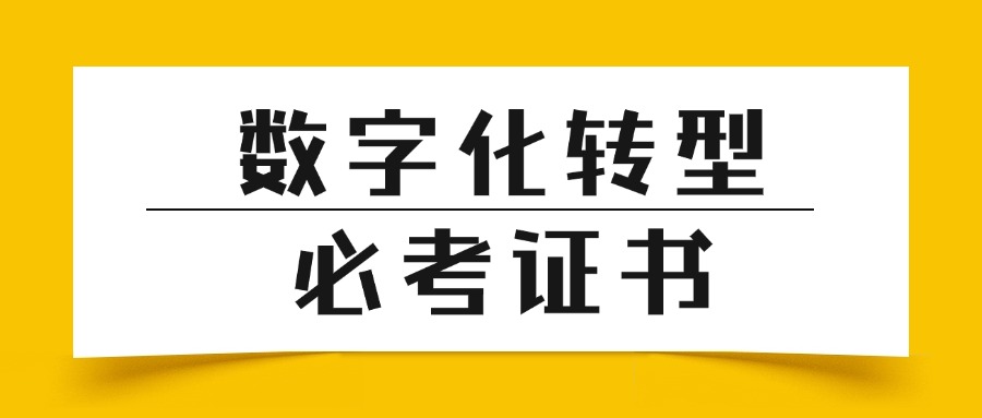 数字化转型人才必备：5大权威证书详解