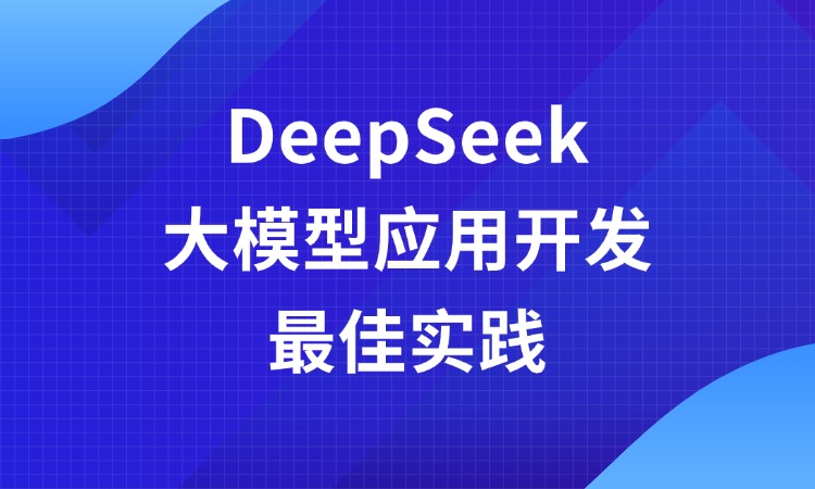 DeepSeek大模型应用开发最佳实践