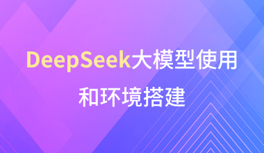 DeepSeek大模型使用和环境搭建